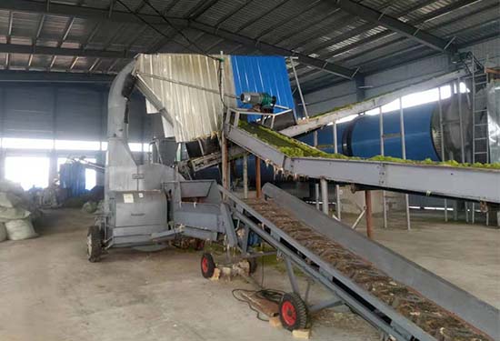 日處理240噸大型滸苔烘干機現場視頻